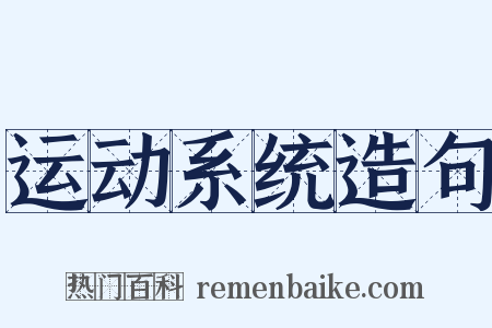 运动系统造句是什么意思的图片
